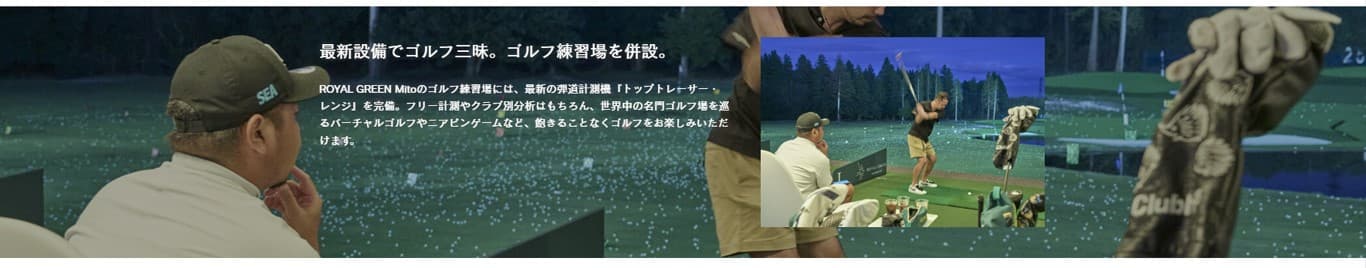 로얄 그린 미토 사진 10