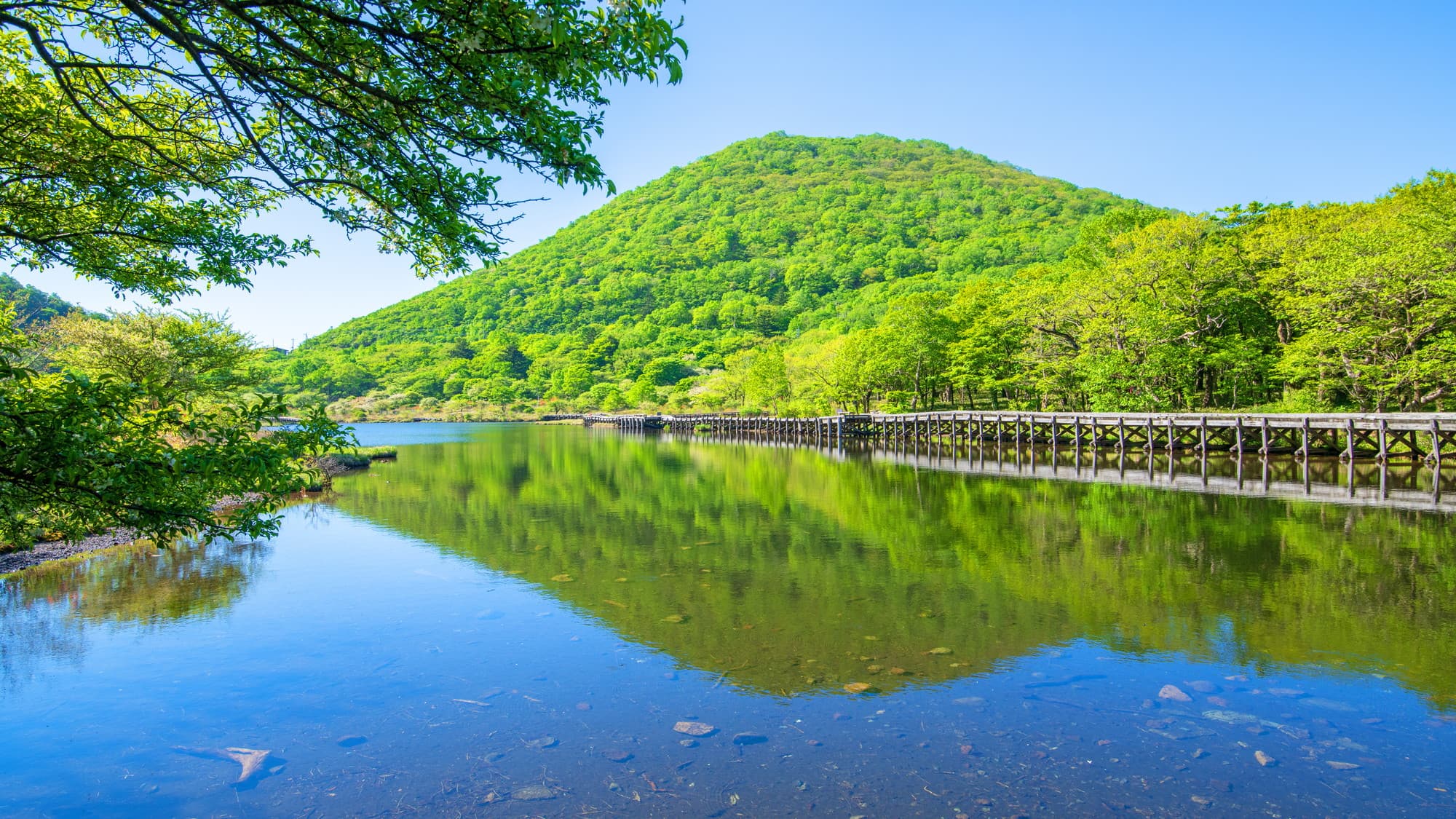 Kakumanbuchi is a small wetland with a circumference of approximately 1 km, located at an altitude of 1,360m near the summit of Mt. Akagi in Maebashi City, Gunma Prefecture.