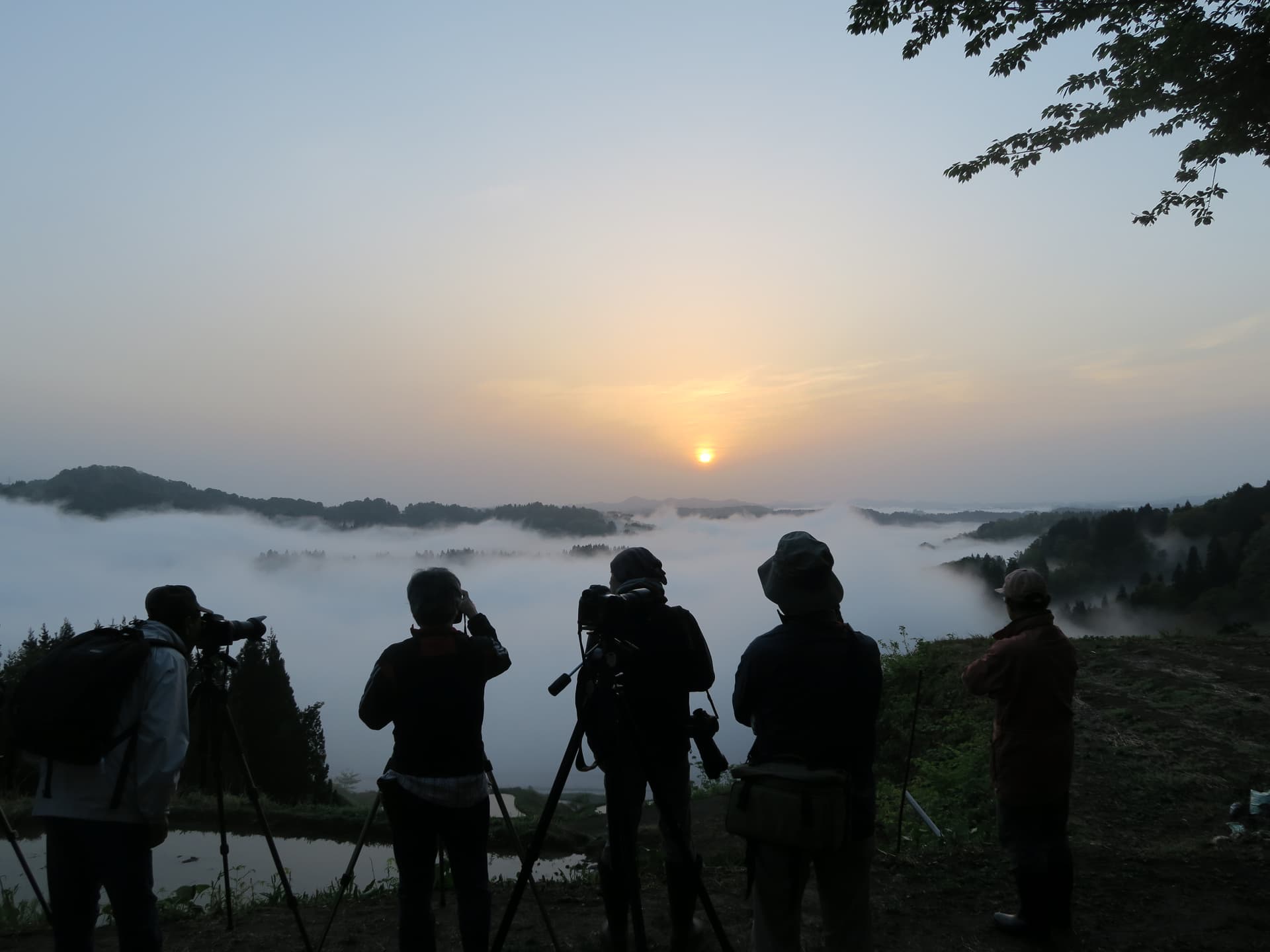 Rice terraces at Hoshitouge, sunrise and sea of clouds