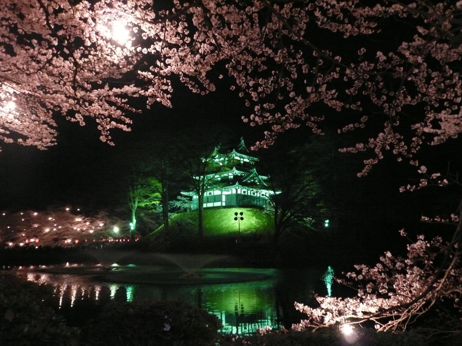 Japan's three major night cherry blossoms: Takada's night cherry blossoms