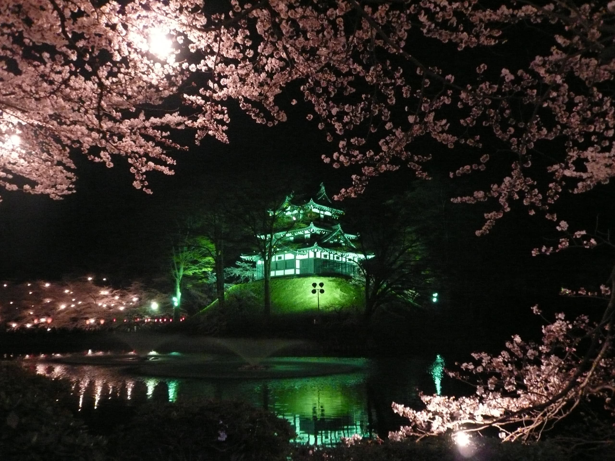 Japan's three major night cherry blossoms: Takada's night cherry blossoms