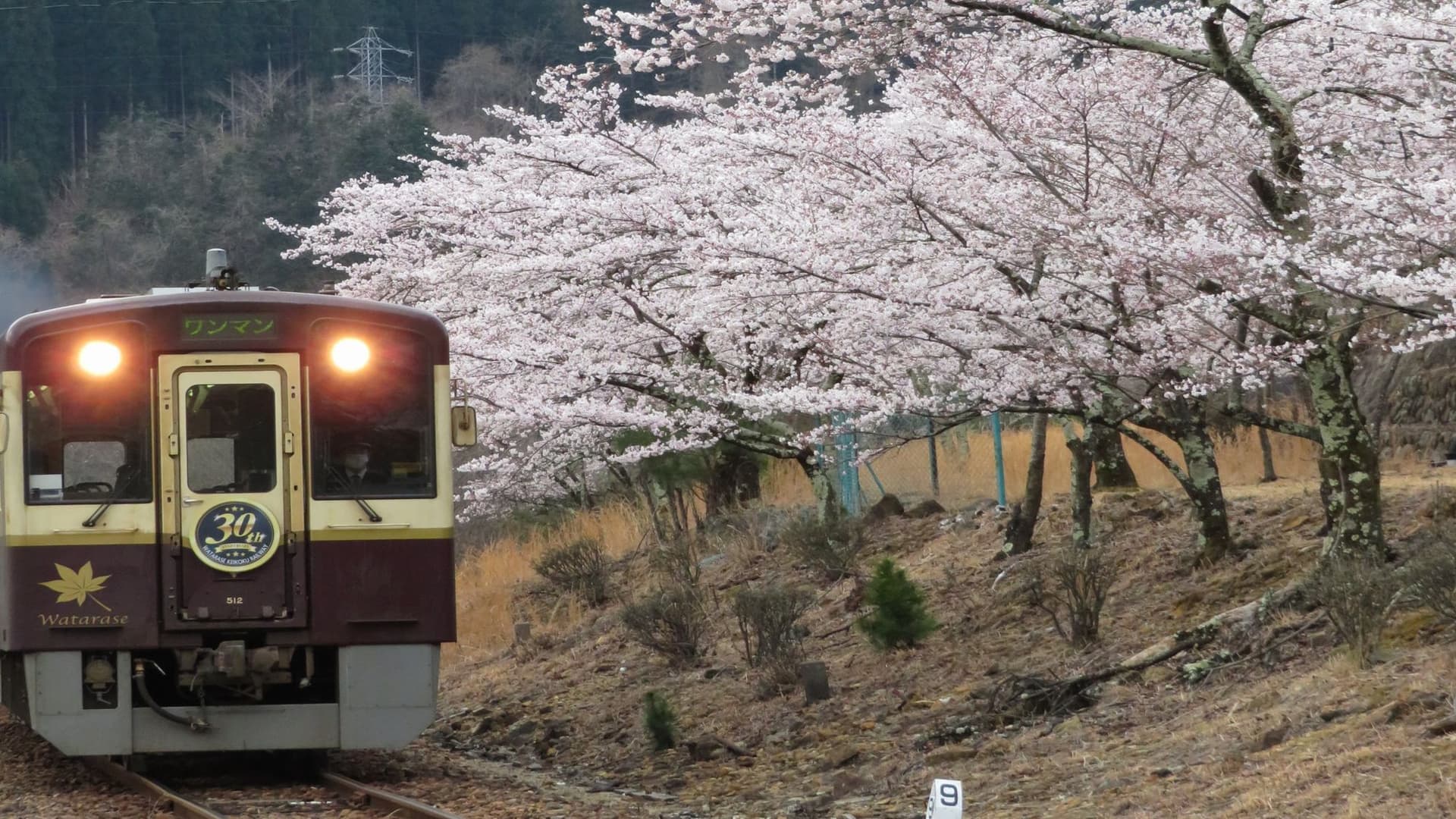 [Watarase Railway] The Watarase Valley Railway runs slowly through the valley. Take a leisurely journey to Tsudo Station, the closest station to our hotel.