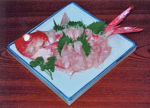 시오사이노야도 photo 7