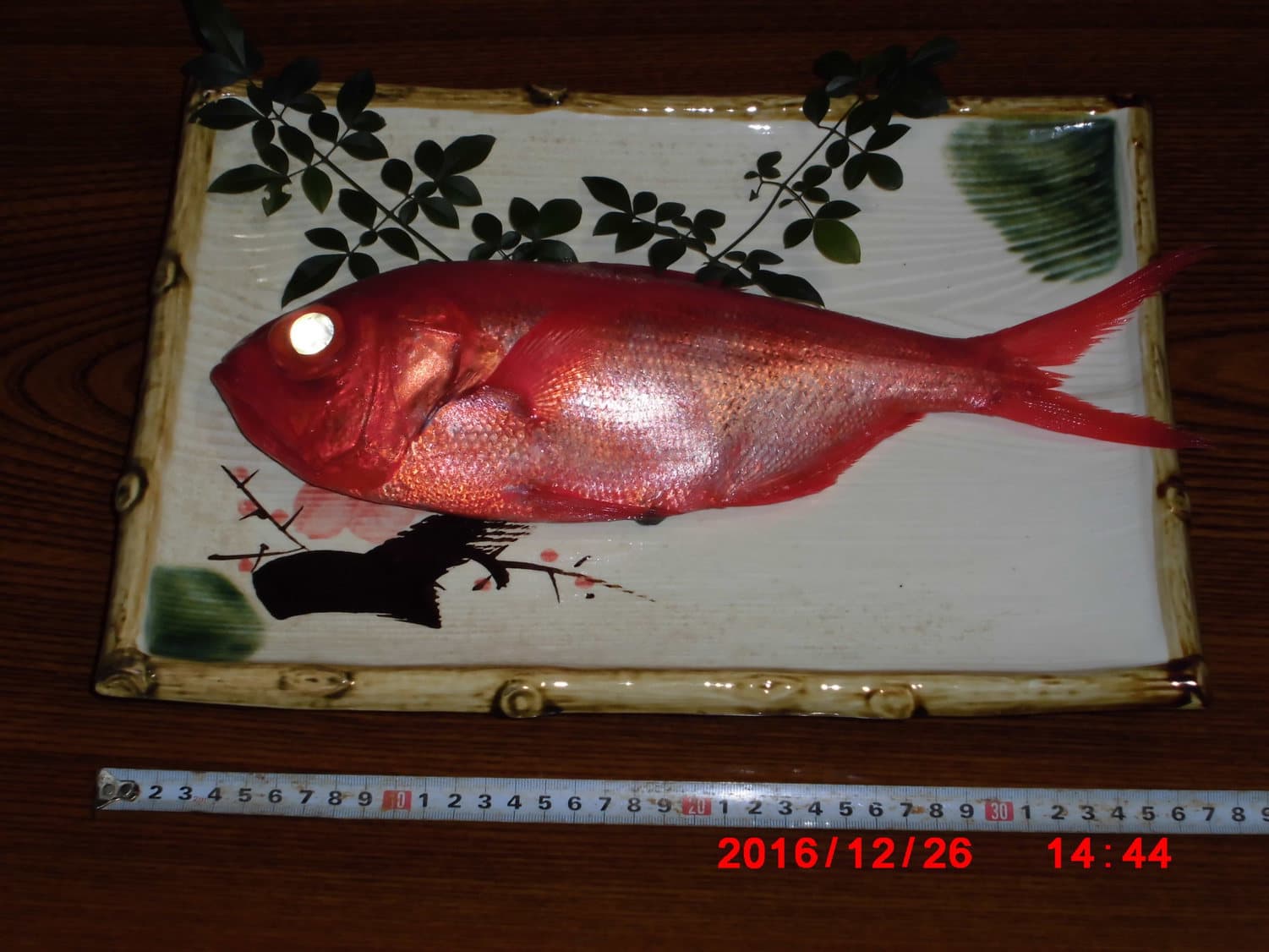 시오사이노야도 photo 8