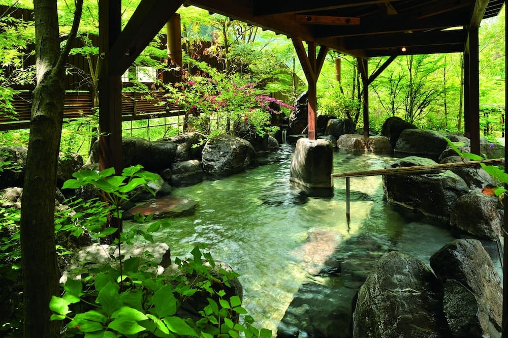 杖立渓流の宿大自然照片11