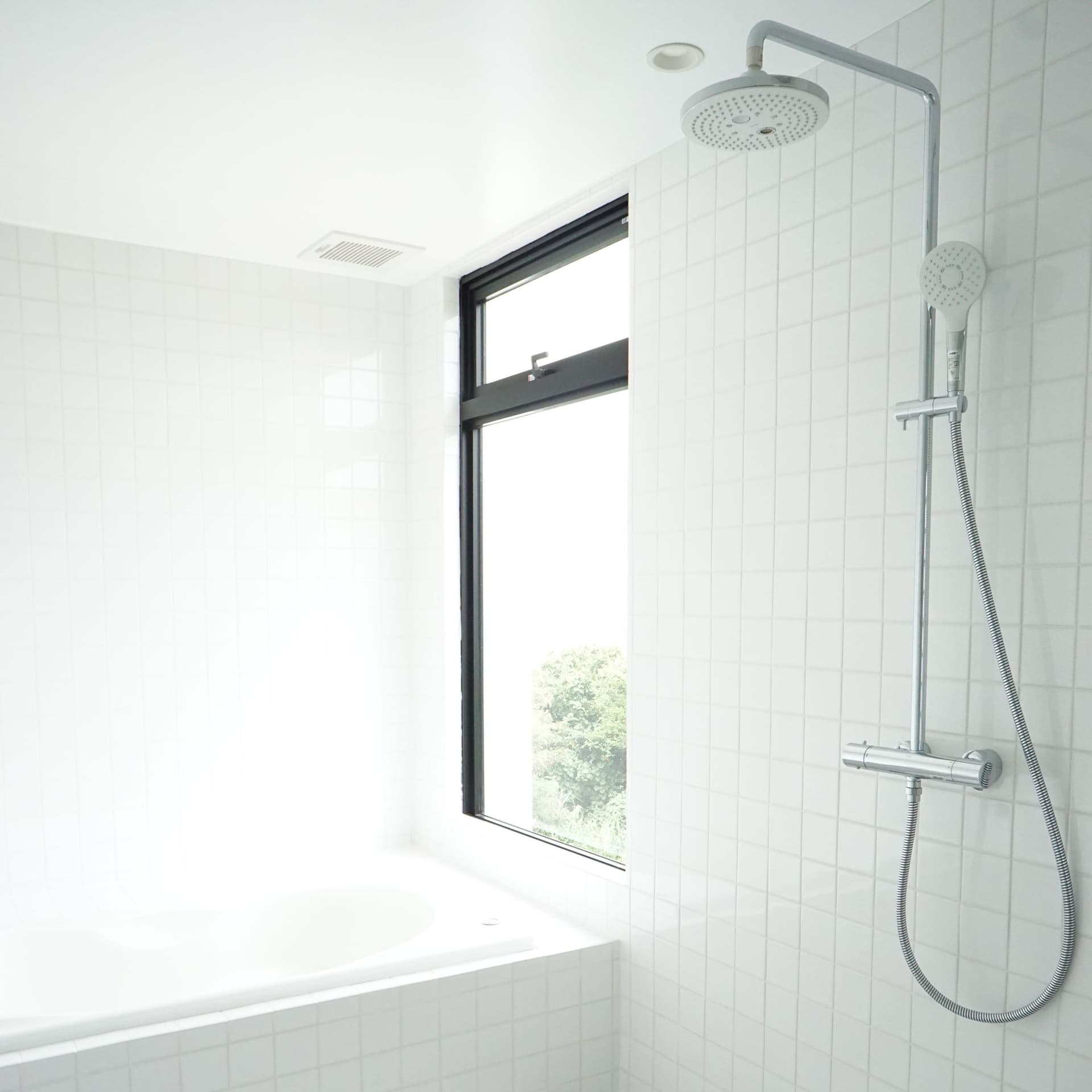 블루 스테이크 원더 세나하 photo 16