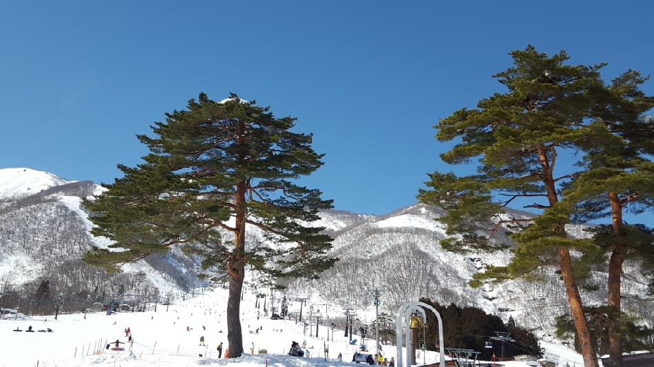 미티어 가든 사진 11