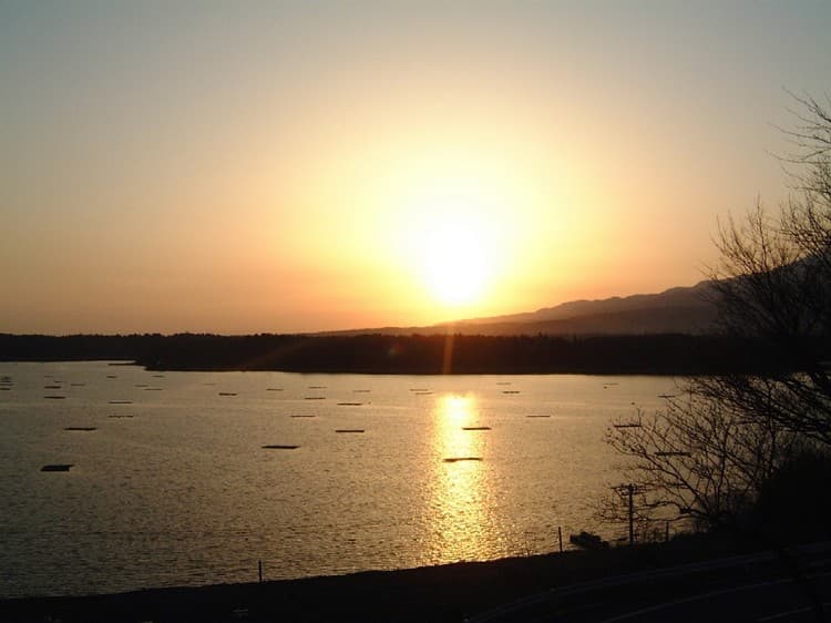 아오키야＜사도시마＞ photo 14