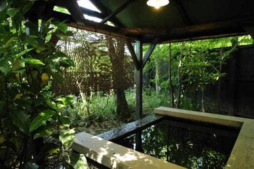 Hot spring bath