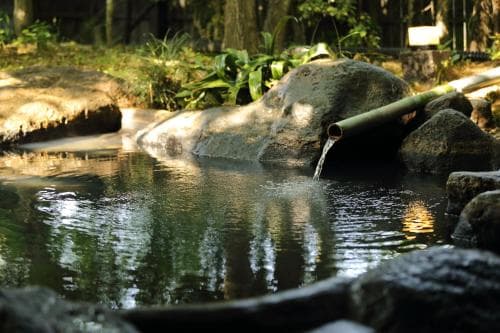 Hot spring bath