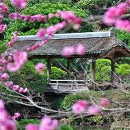 후쓰카이치온천 다이마루 별장 photo 13
