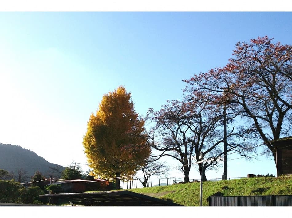 미야마 후톤 앤 브랙퍼스트 사진 16