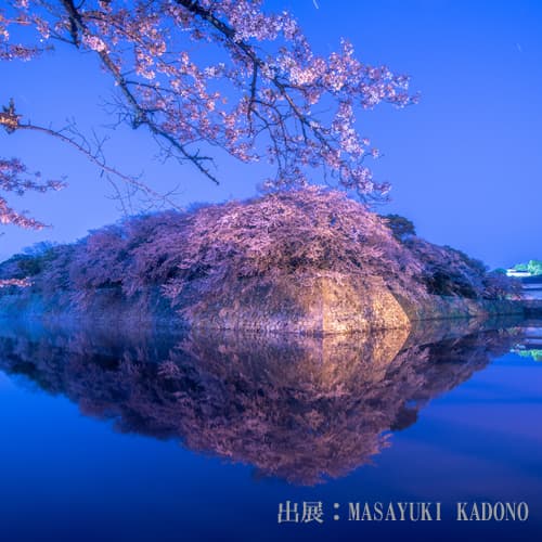 후타바소 photo 19