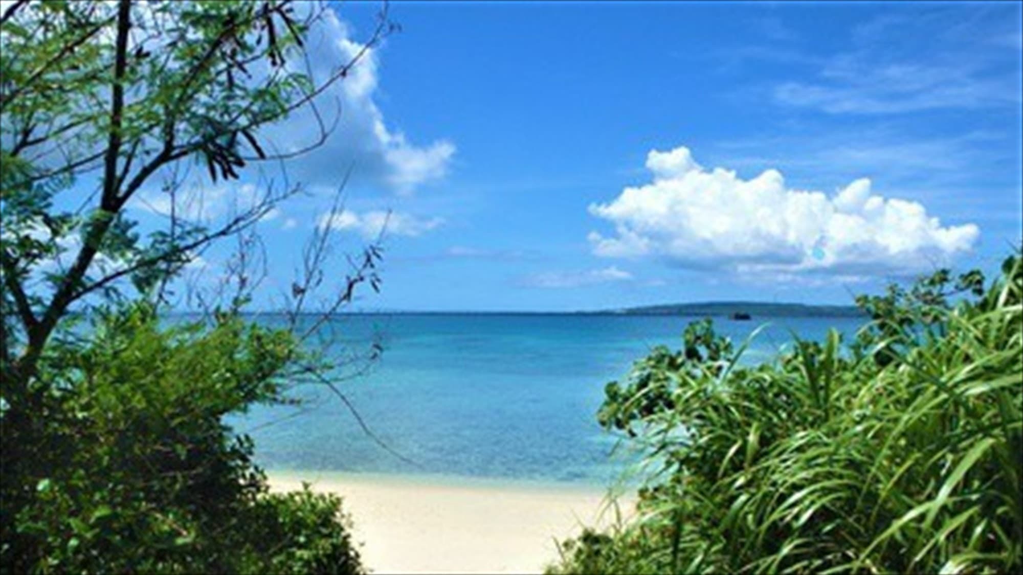 1 minute walk to the beach