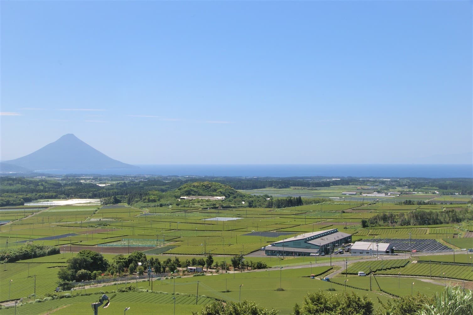 사쿠라칸 photo 13
