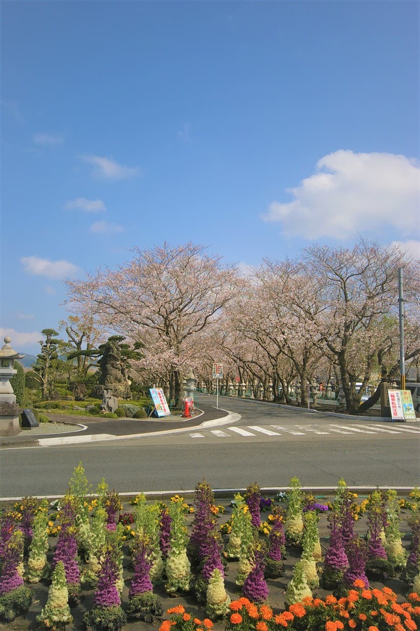 사쿠라칸 photo 11