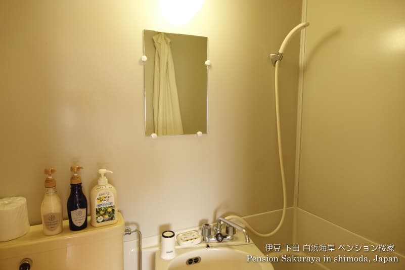 Twin room with bath and toilet, mirror, etc.