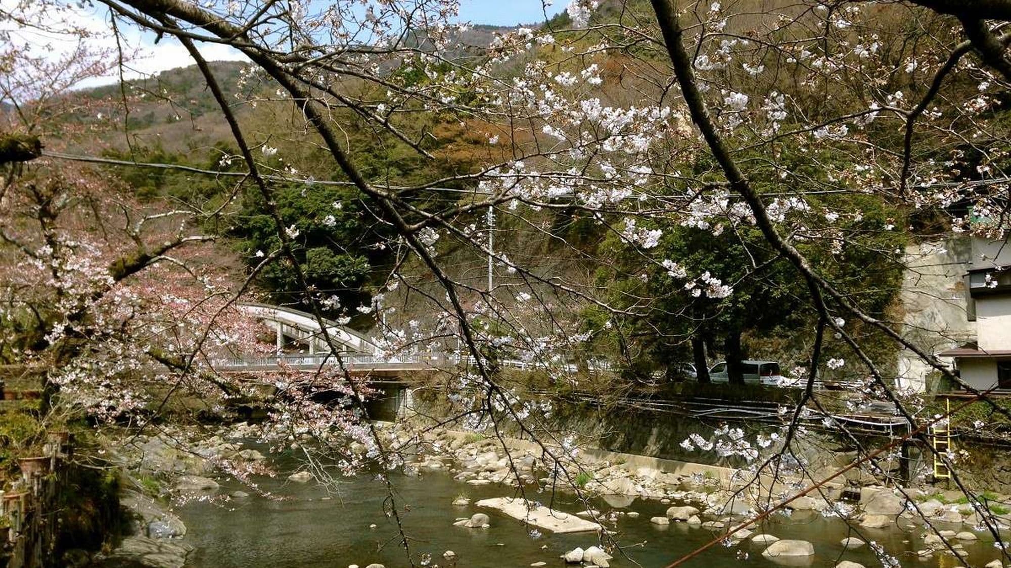 하코네 유모토 온천 하코네 팍스 요시노 사진 28