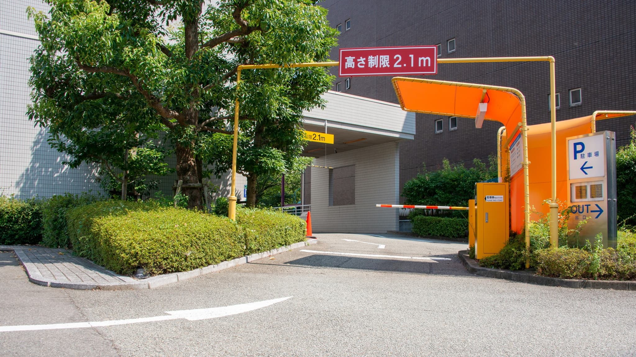免费停车·巴士门前上下车
