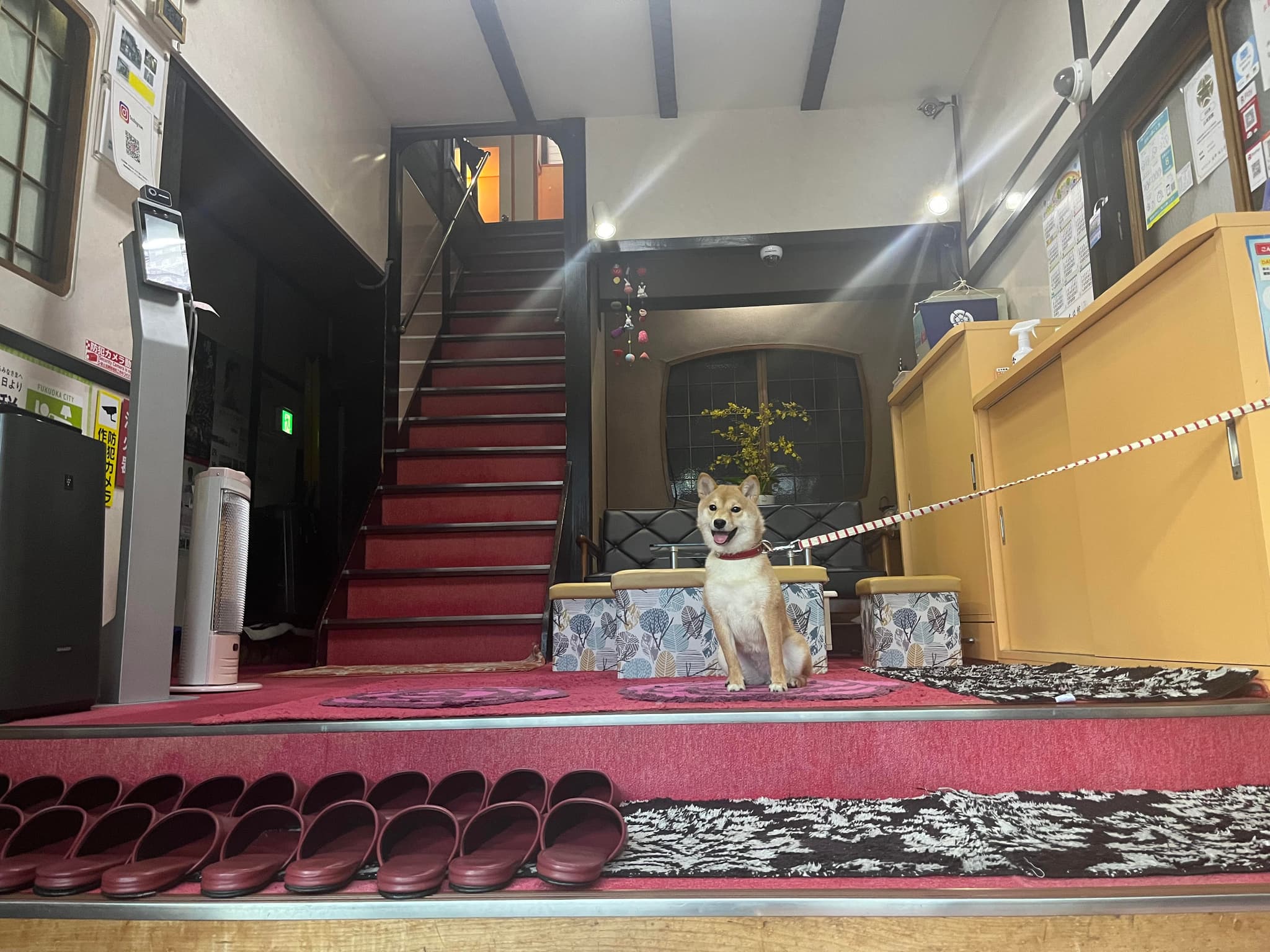 lobby