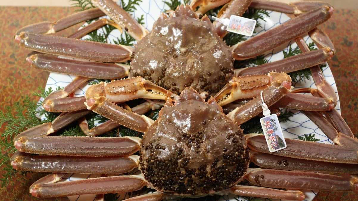 시치카마 온센 오쿠자와 료칸 사진 12
