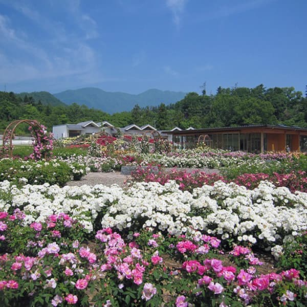 이치야나기 호텔 photo 17