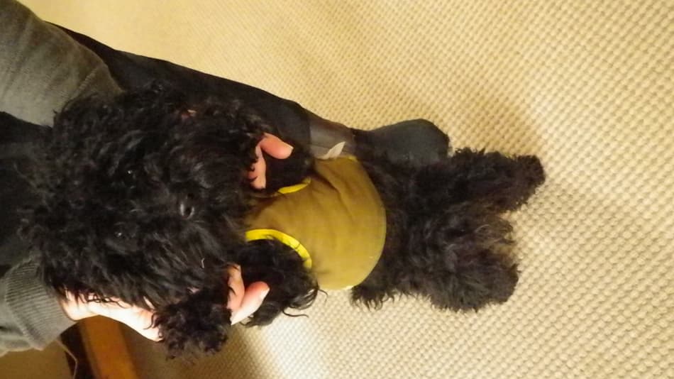 가도타 료칸 photo 8