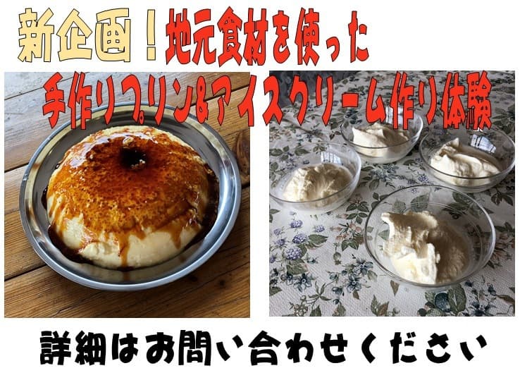씨사이드 글램핑 마고타로 사진 12