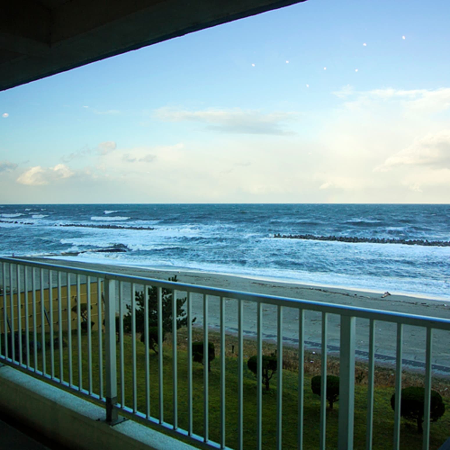 View