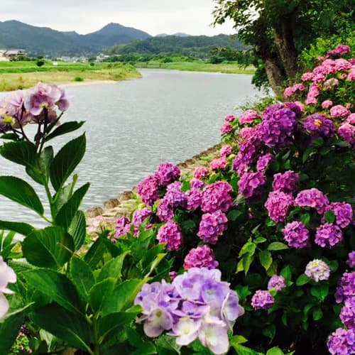 호텔 아유테이 photo 15