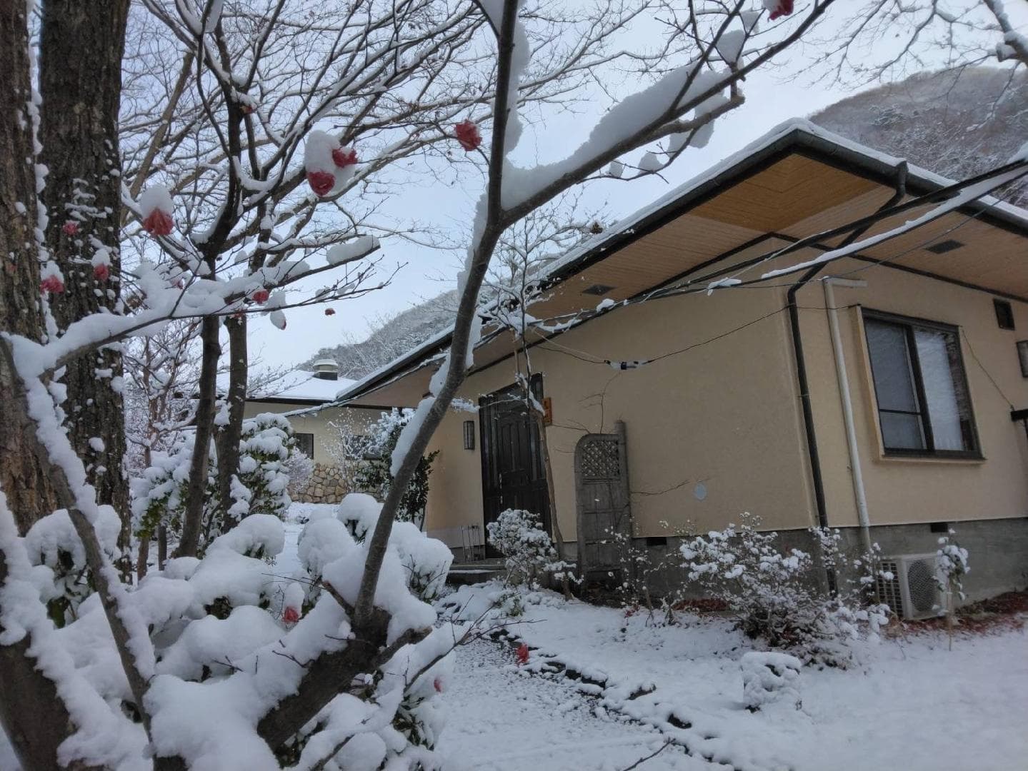 Kinu Guest Room