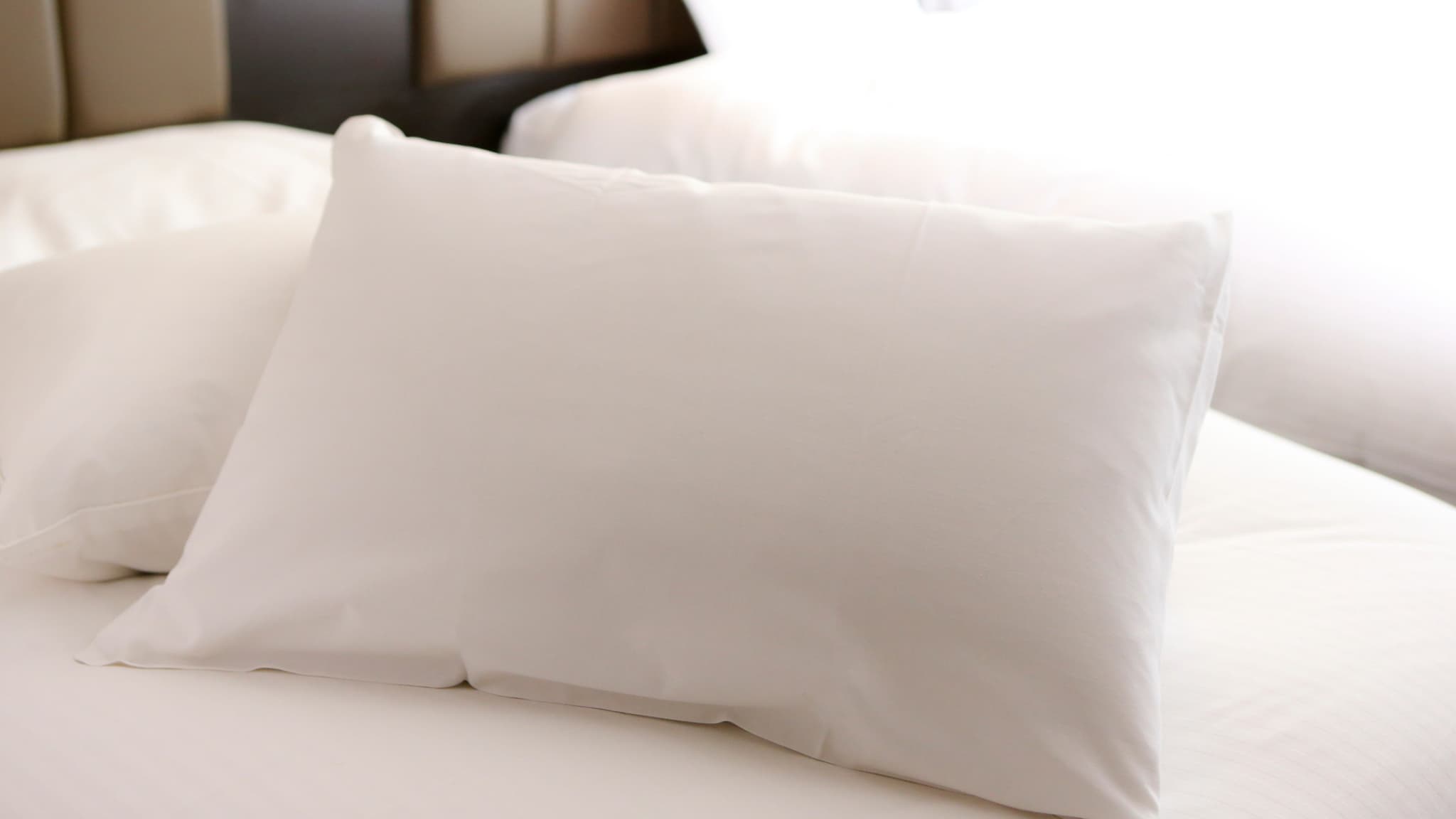 Feather pillow for loan
