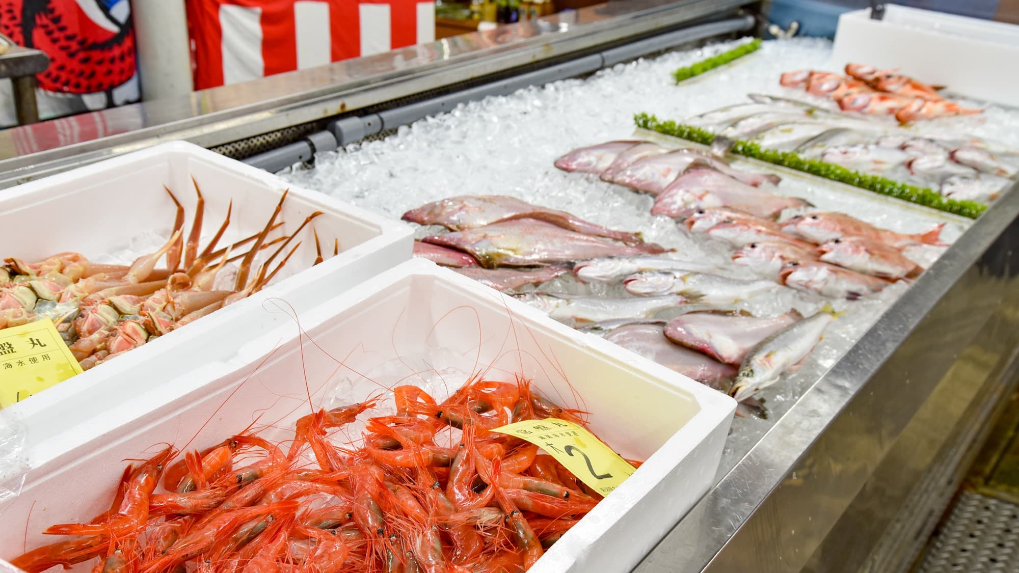 *Roadside Station Umiterrace Nakatsu/Peaceful! Fresh seafood on display