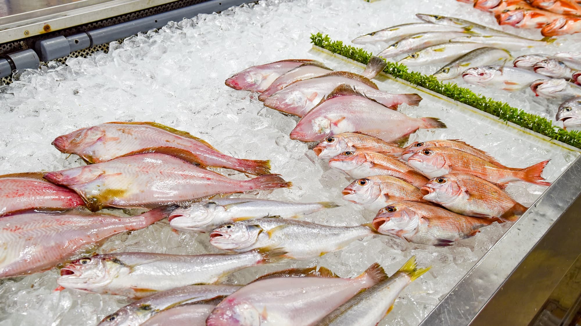 *Roadside Station Umiterrace Nakatsu/Peaceful! Fresh seafood on display