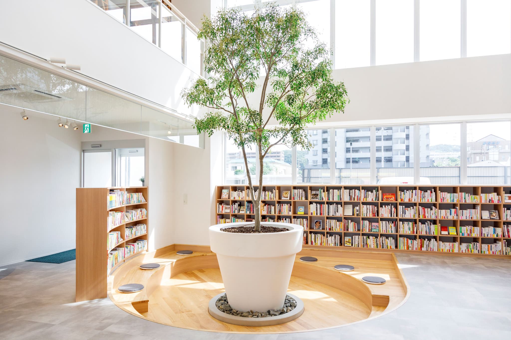 Symbolic tree: Fraxinus serrata