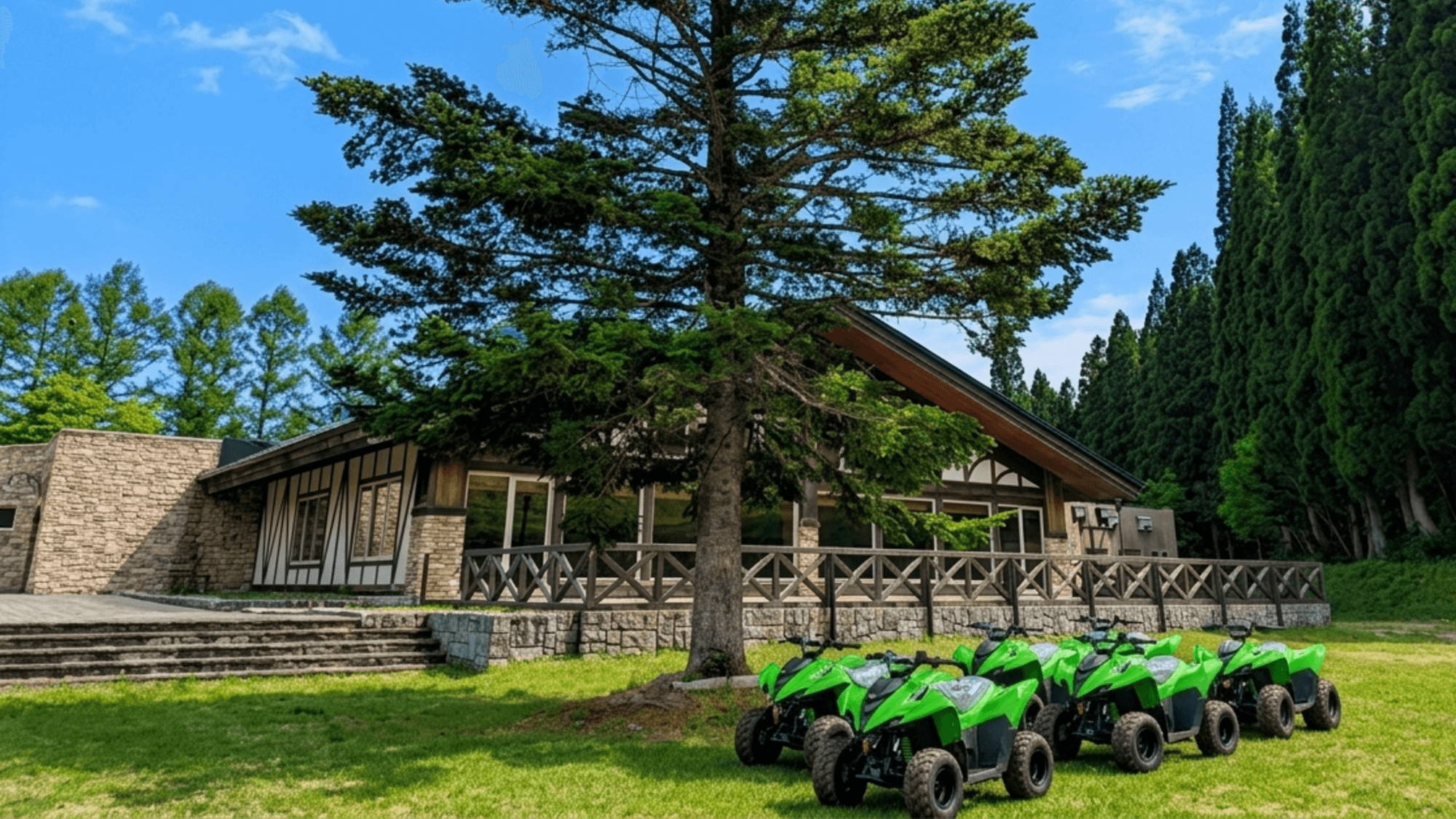 Buggy rides are available right in front of the hotel (for a fee).