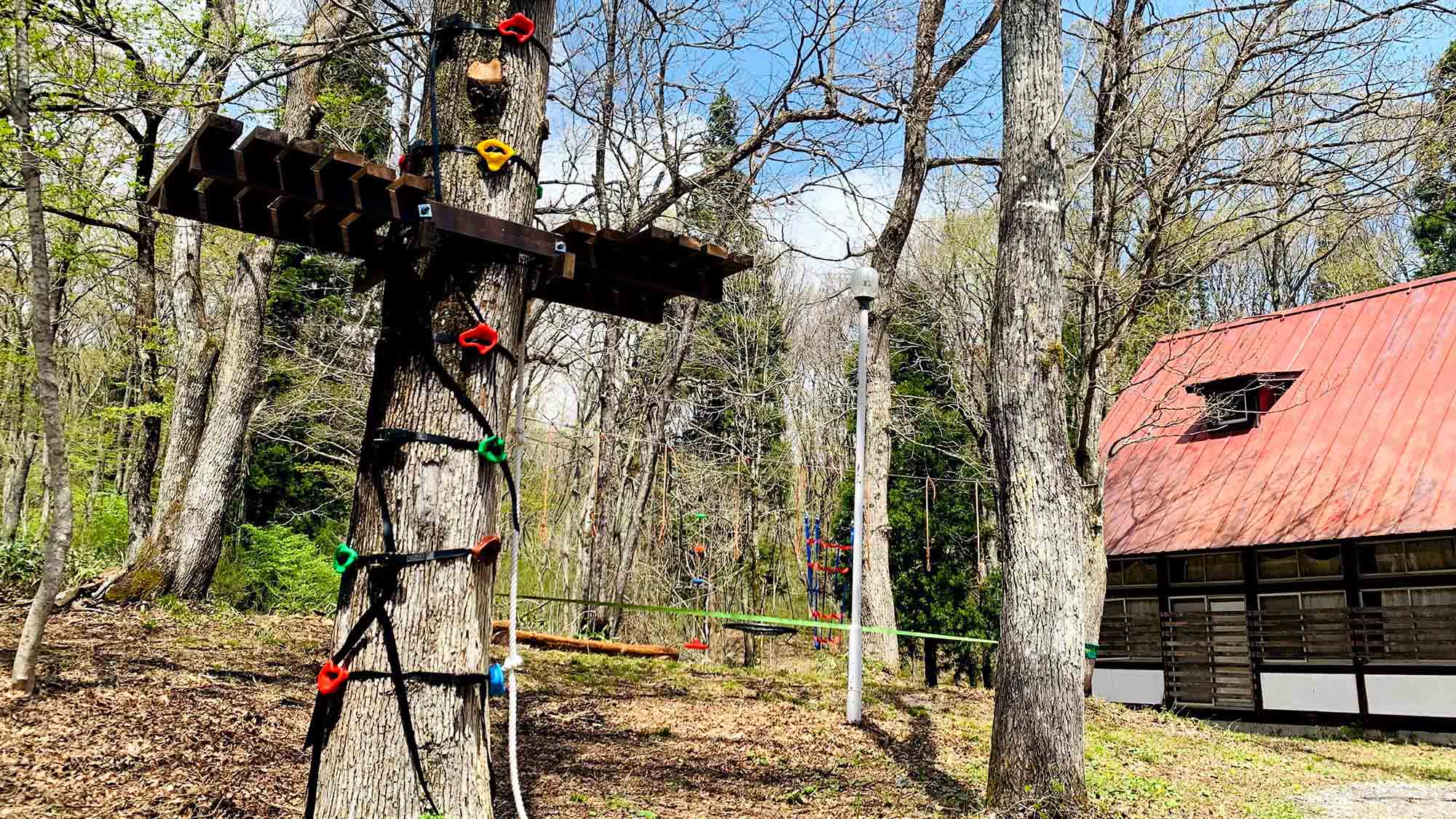 ・We also offer activities for children that make use of nature.