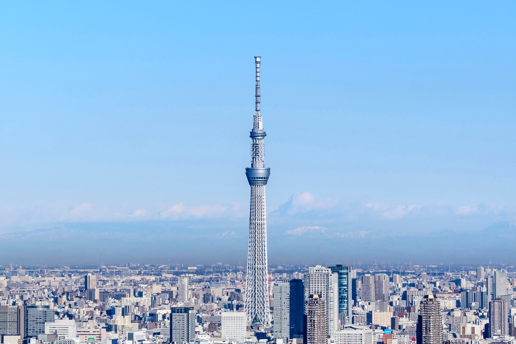 Sky tree
