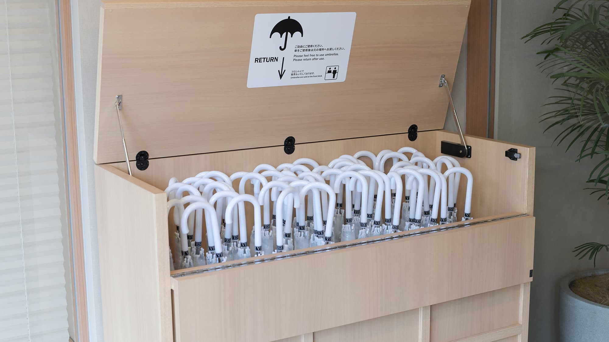 We also have umbrella rentals.