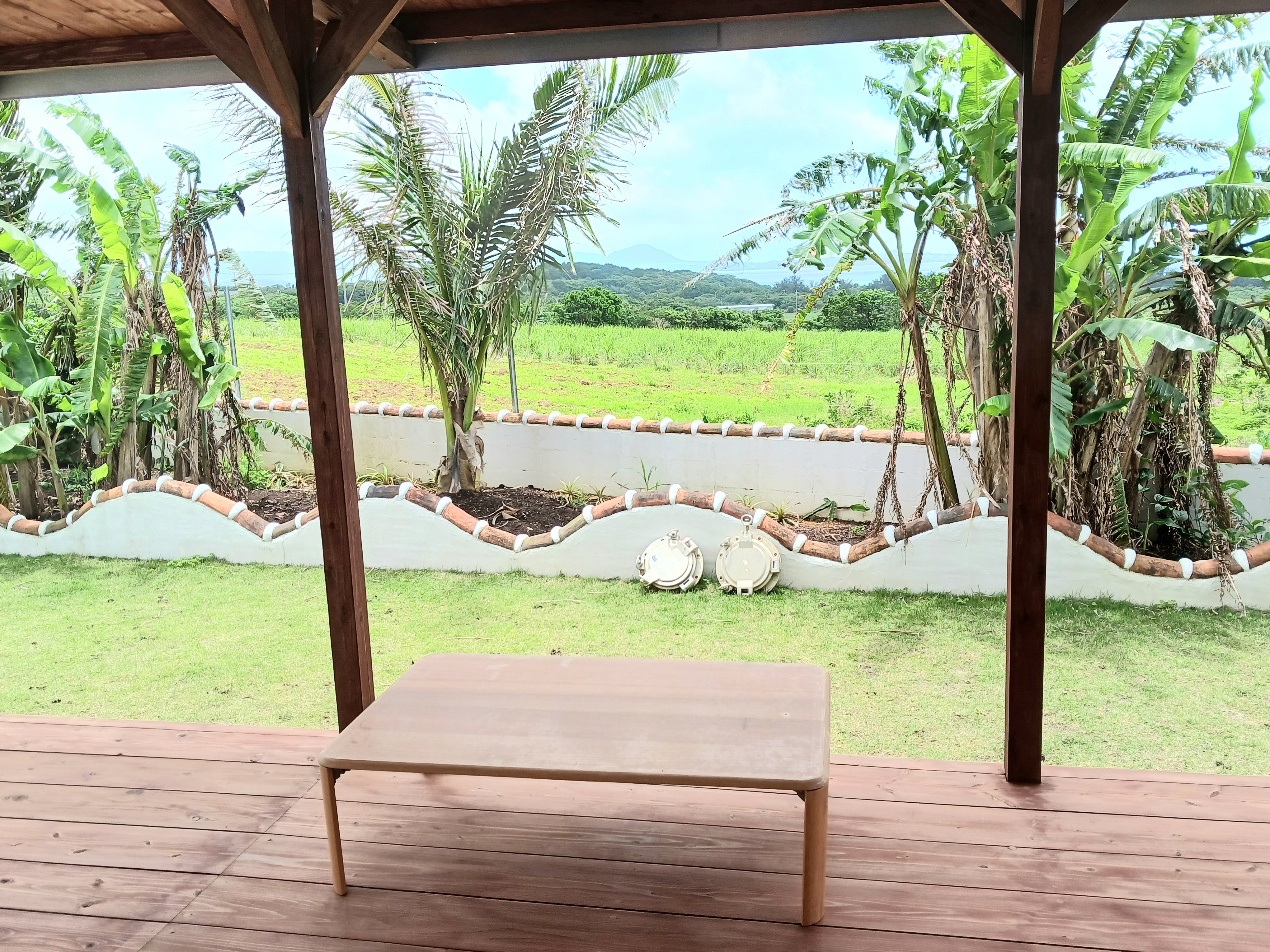 Lawn garden and wooden terrace