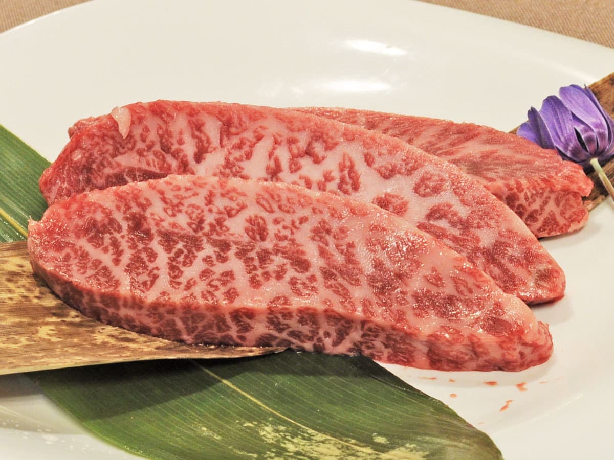 야도 기타가이 사진 14