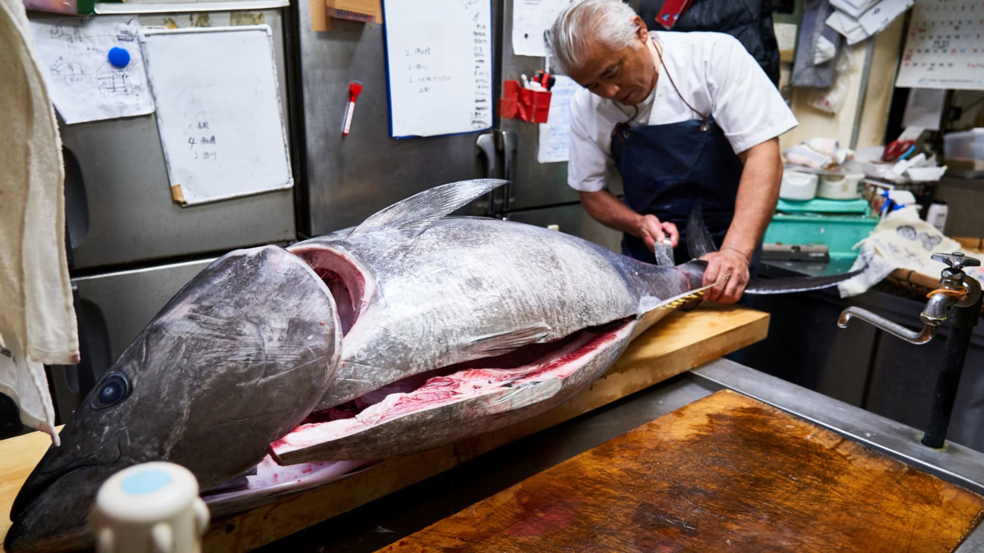 The chef himself will cut up the tuna!
