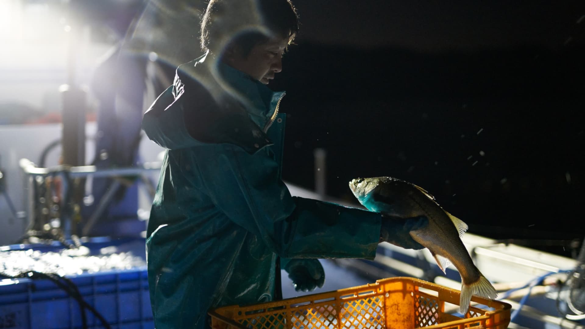 In order to provide fresh fish, we start fishing early in the morning.