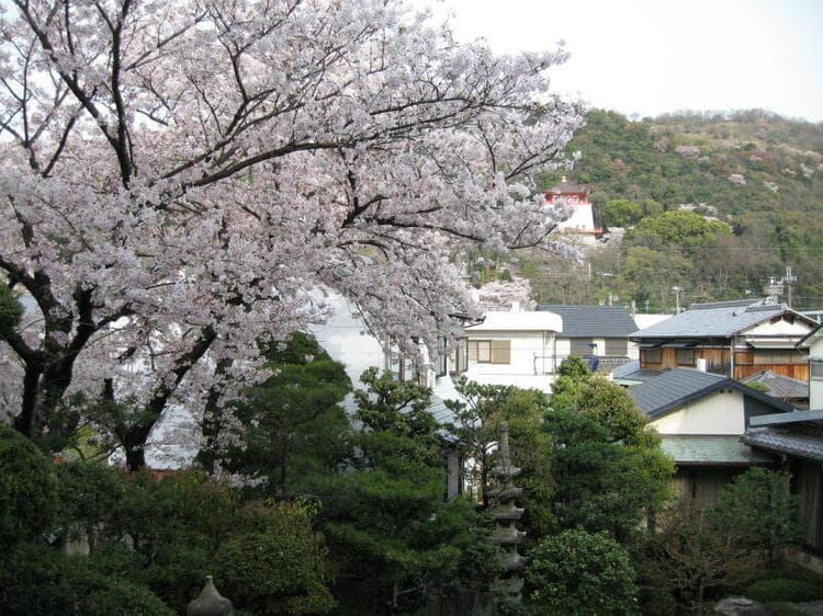 기미이데라온센 하나노유 가든 호텔 하야시 photo 11