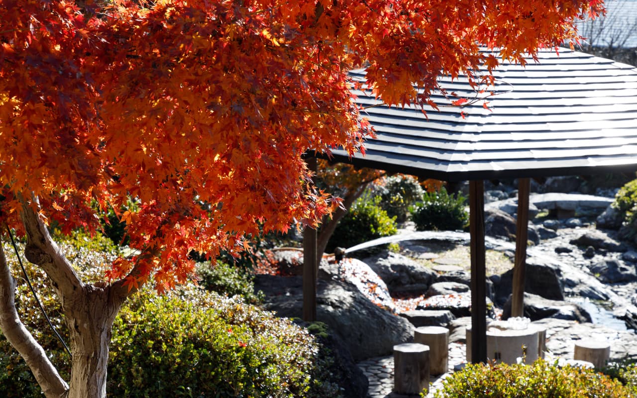 The hotel exterior and scenery change with the seasons