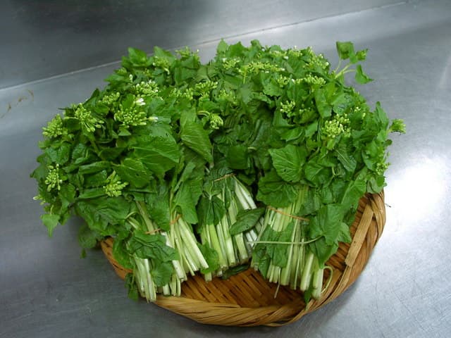 Leaf wasabi