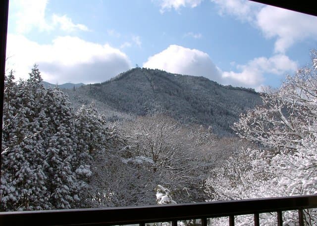 Snow scene