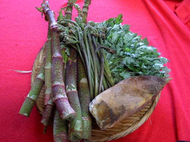 Bracken, bamboo shoots, Japanese knotweed, wormwood