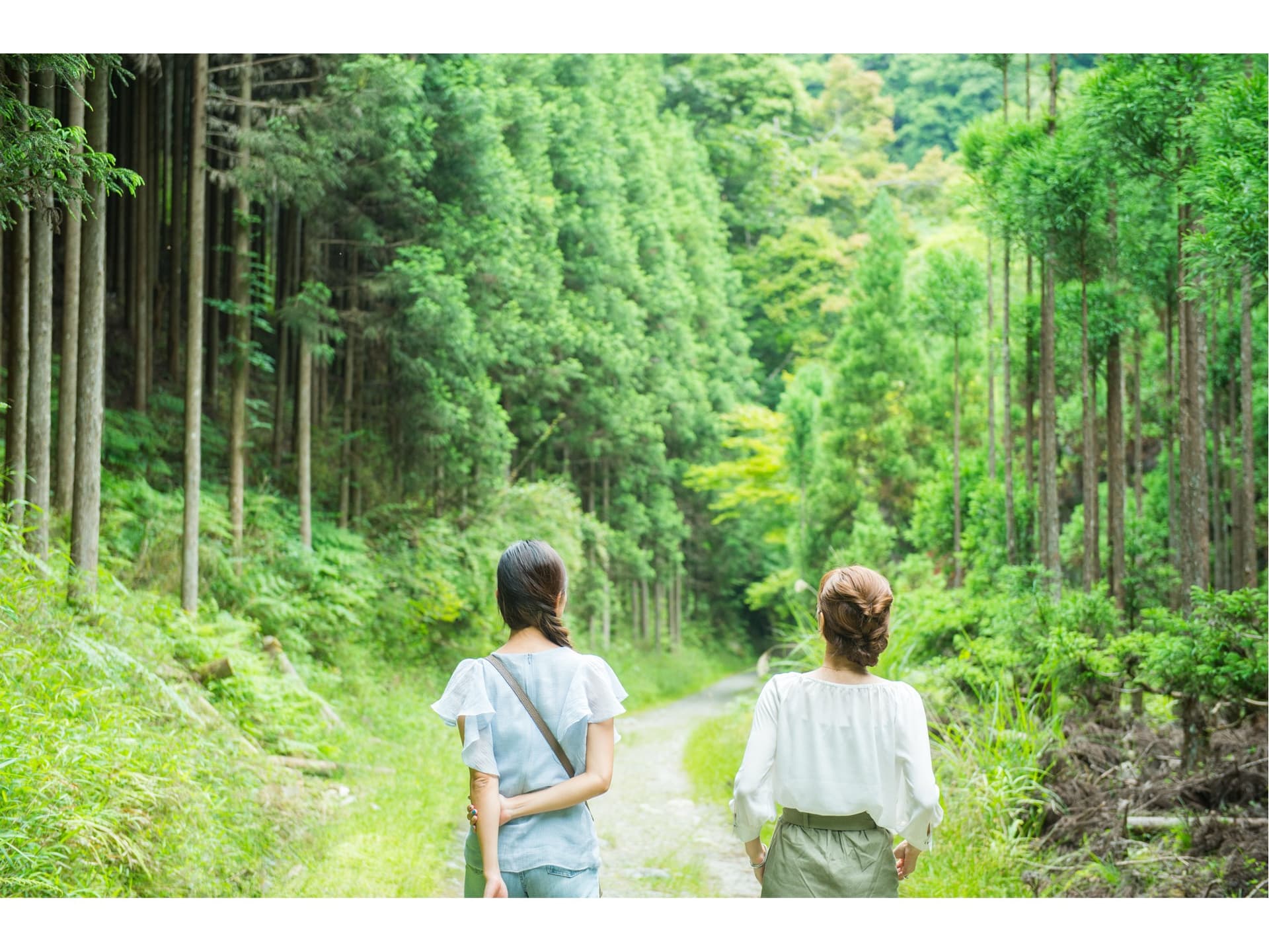 Tokai Nature Trail
