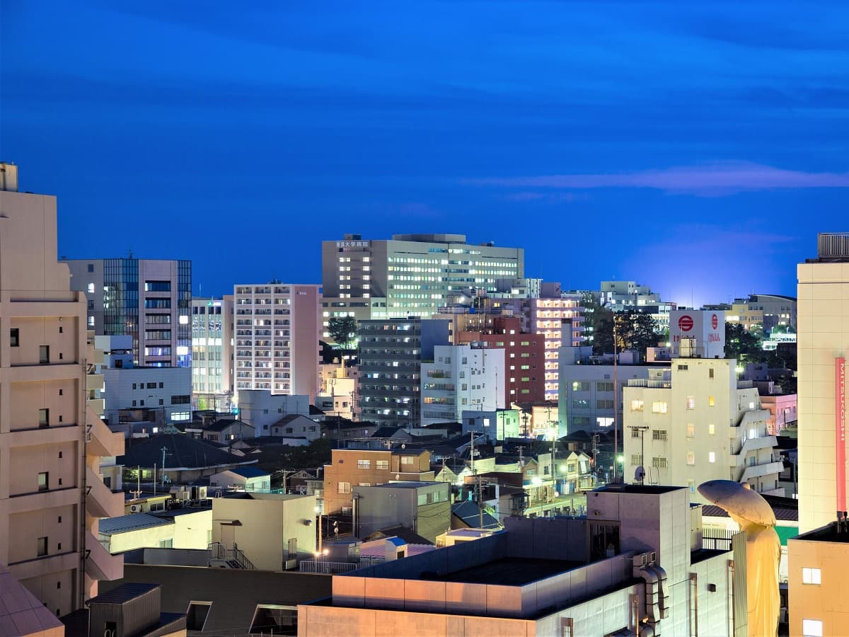 APA Hotel (Niigata Furumachi) photo 4